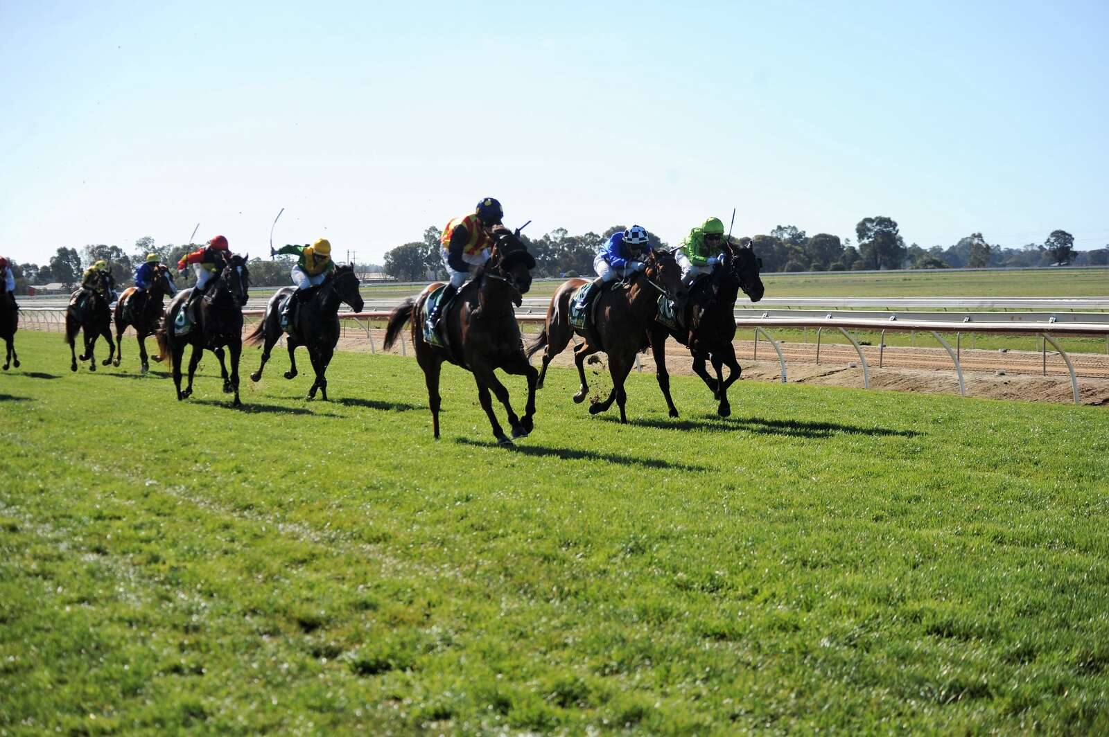 Sound of blues and hooves at Echuca races | Shepparton News