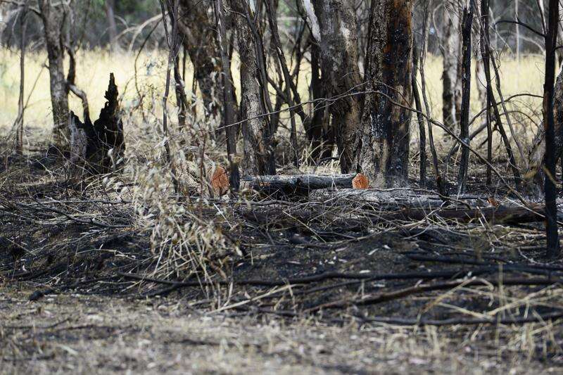 Fire-affected families not supported | Cobram Courier