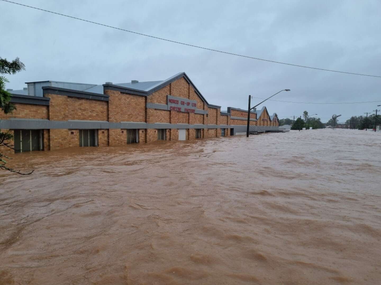 Norco to rebuild Lismore factory | Dairy News Australia
