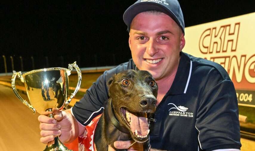 Blink and you’ll miss them - the greyhounds are set to zip in ...