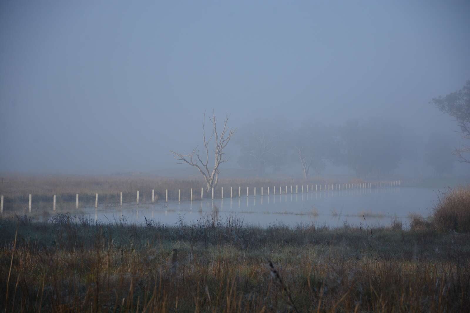 Wednesday weather Shepparton forecast Seymour Telegraph