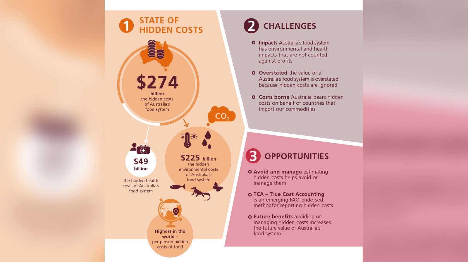 Hidden costs of a sick system | Shepparton News