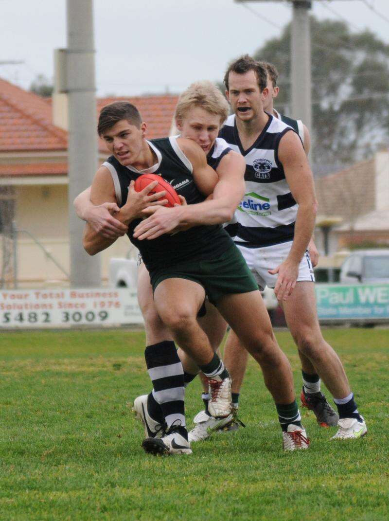 Elmore appoints new coach Country News