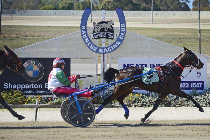 Shepparton Harness Club to host Pacing for Pink Day, McGrath to make