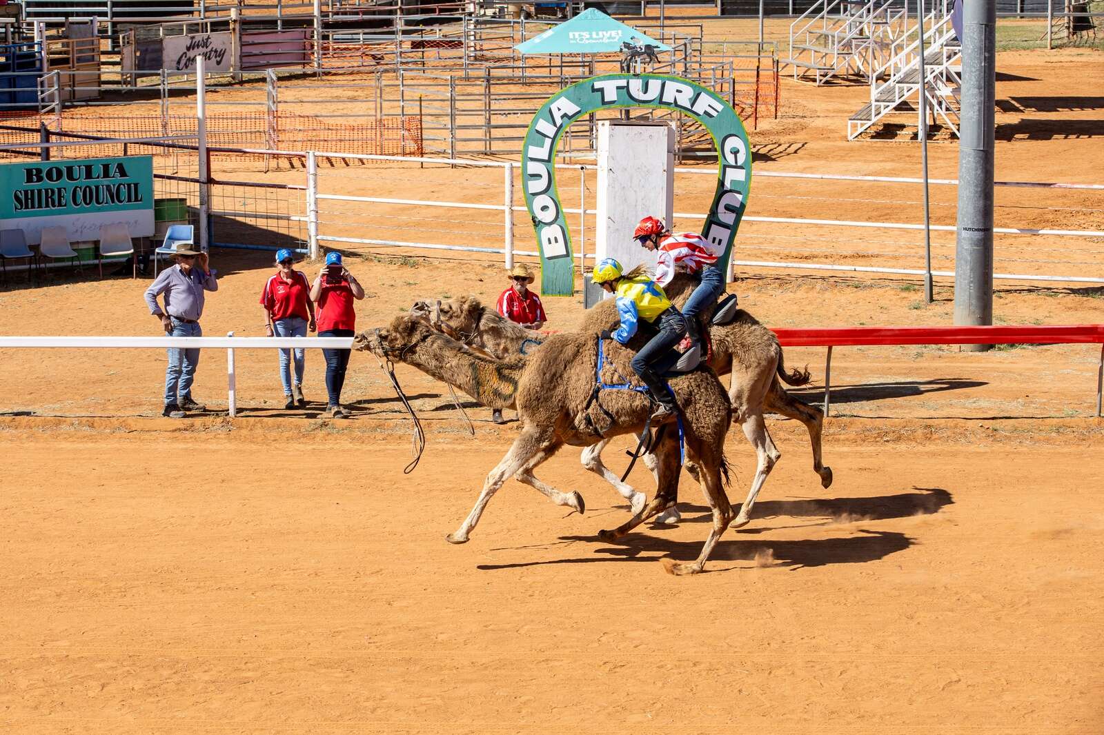 From milking camel failure to race champion | Country News
