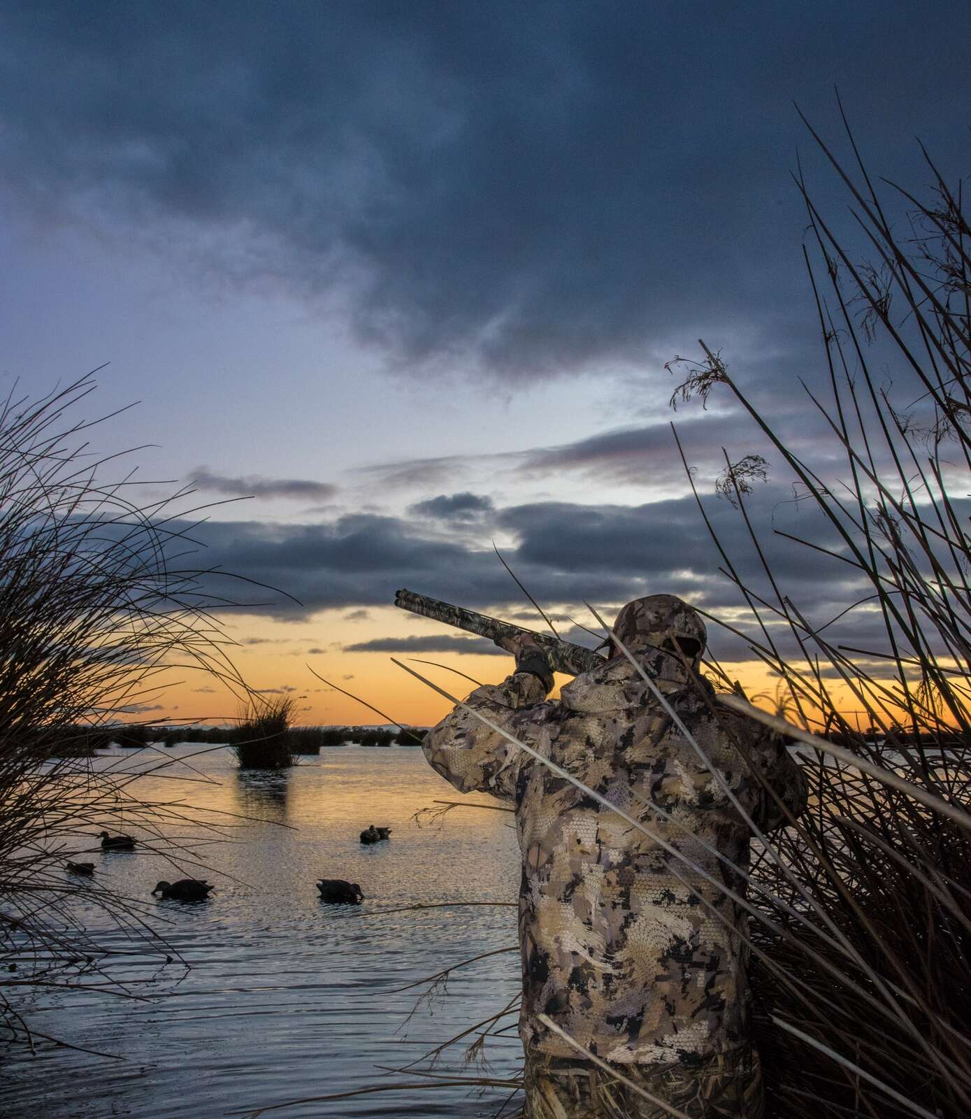 Duck hunting ban shot down Country News