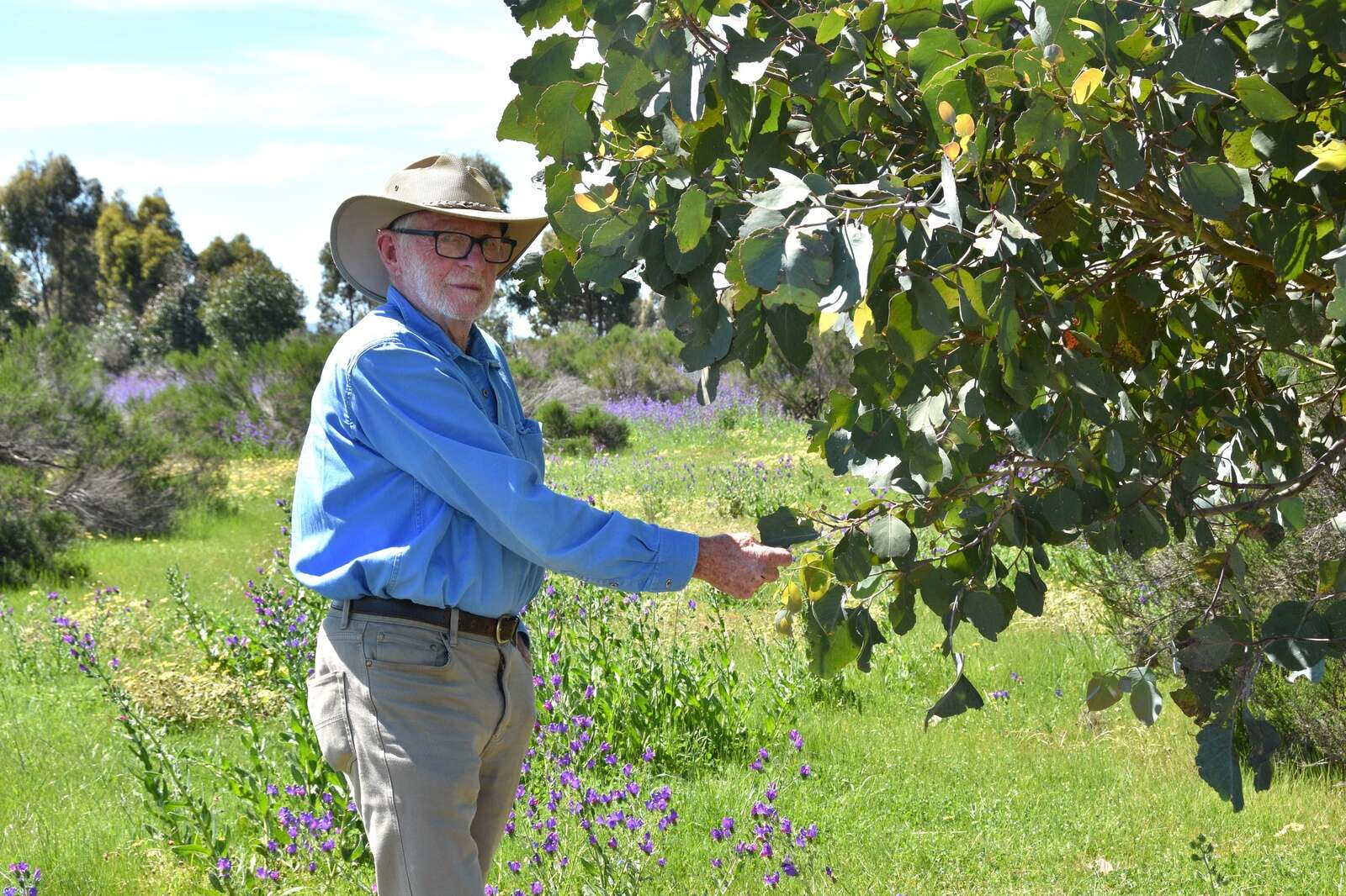 Benalla Treasures | Charlie Corser