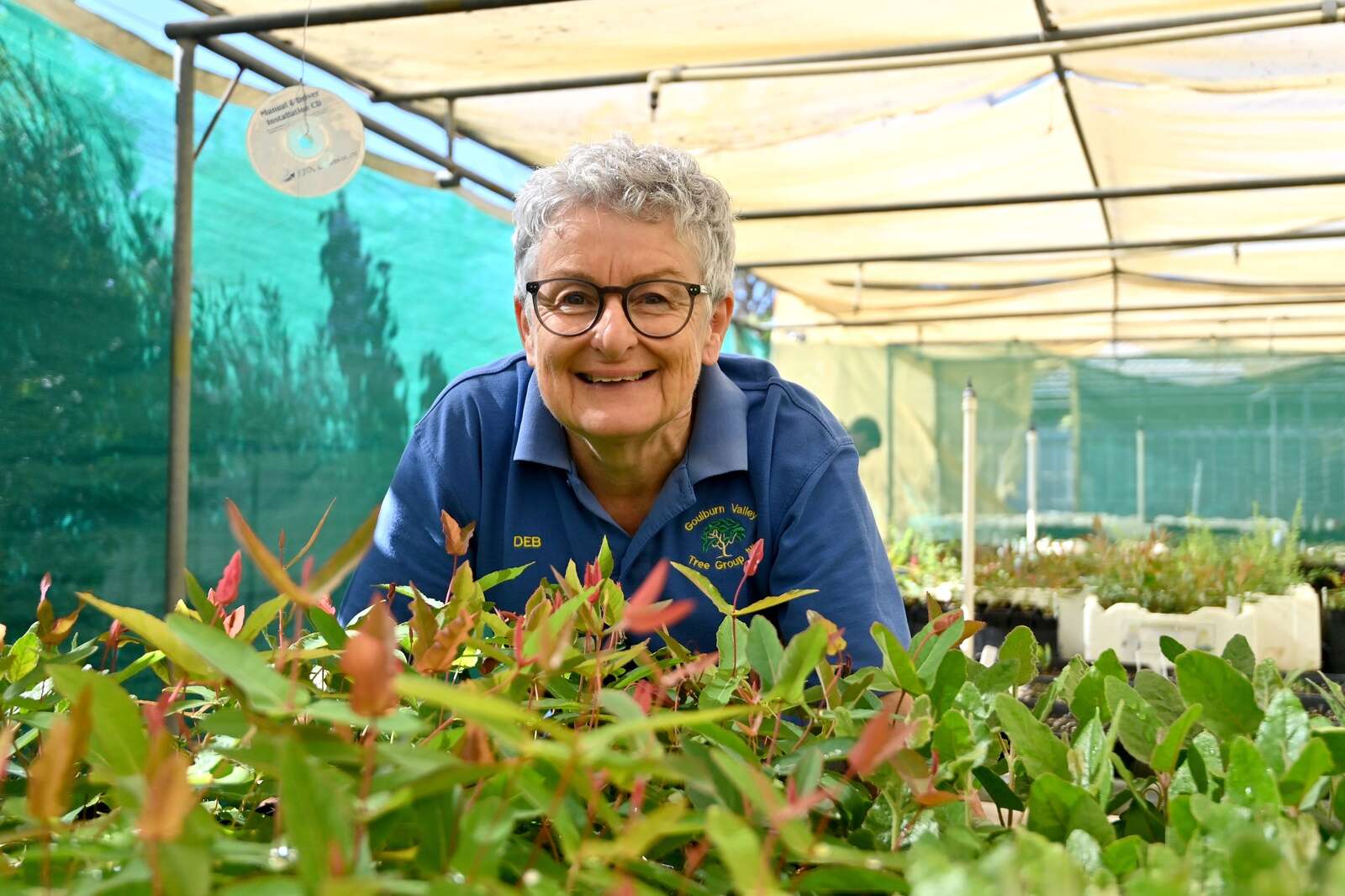 GV Tree Group roots for biodiversity this National Eucalypt Day ...
