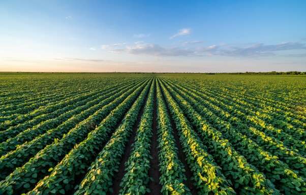 Australia’s strongest agricultural industries