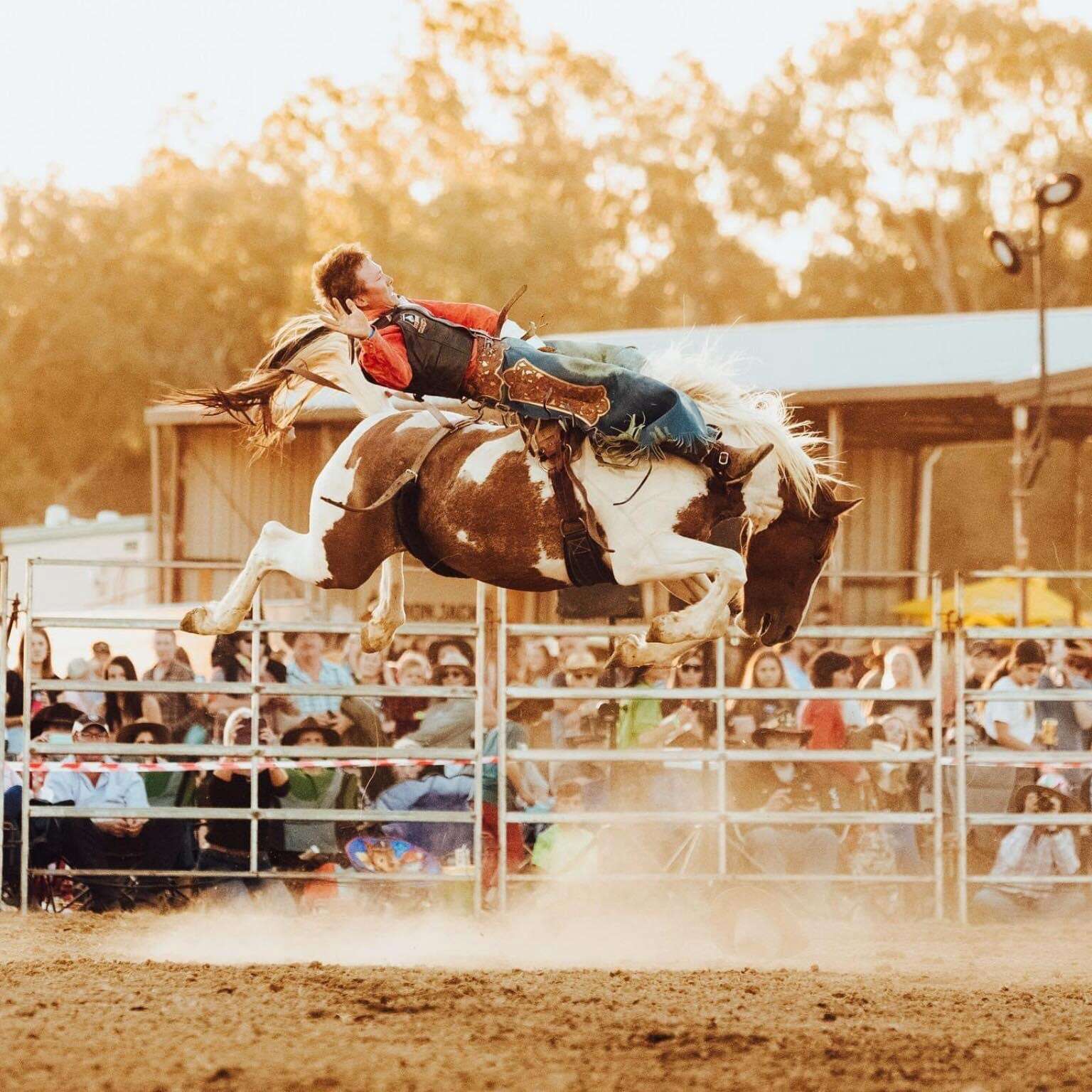 Rodeo supports MND | Dairy News Australia
