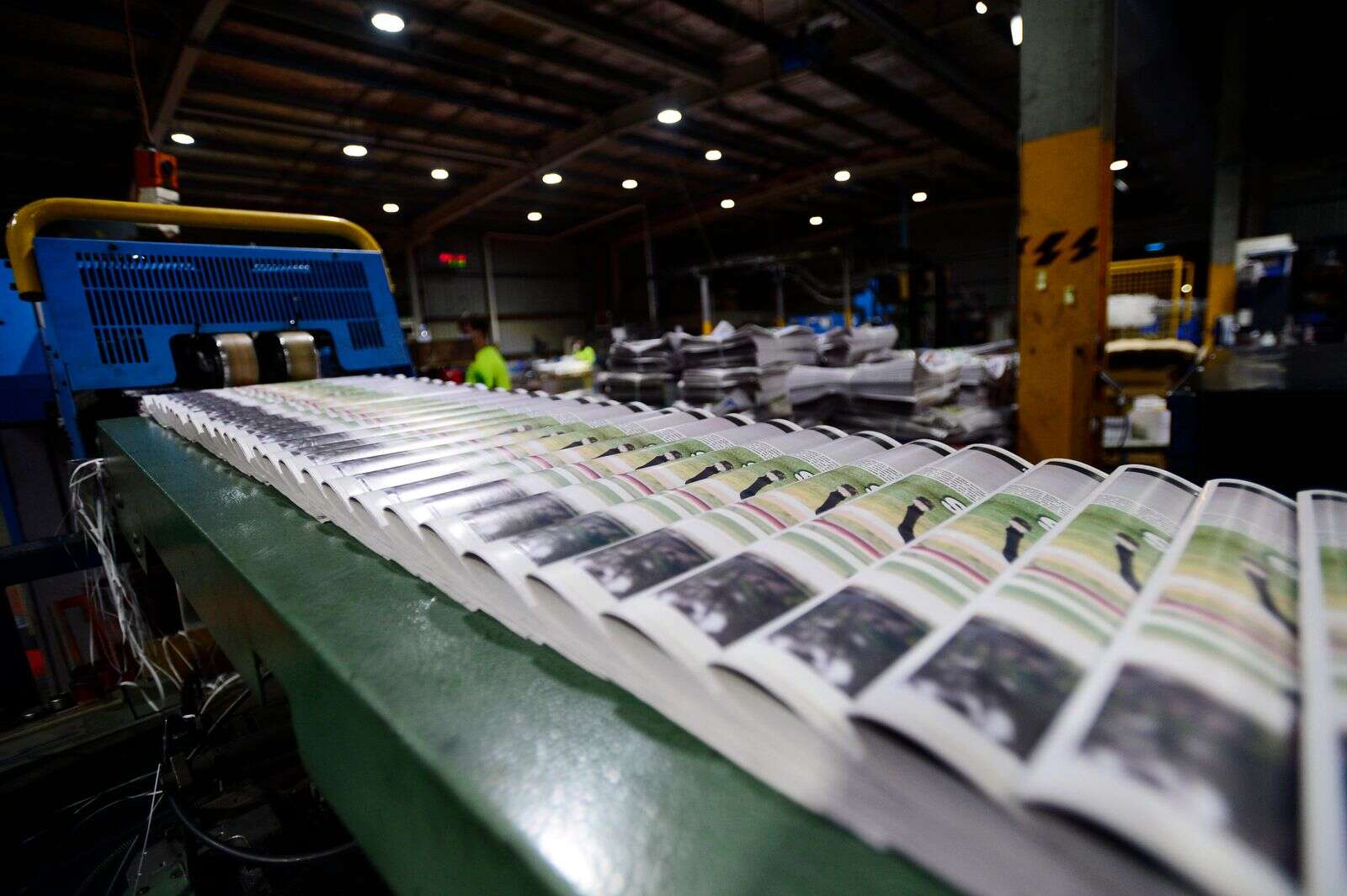 Federal inquiry into regional newspapers | Country News