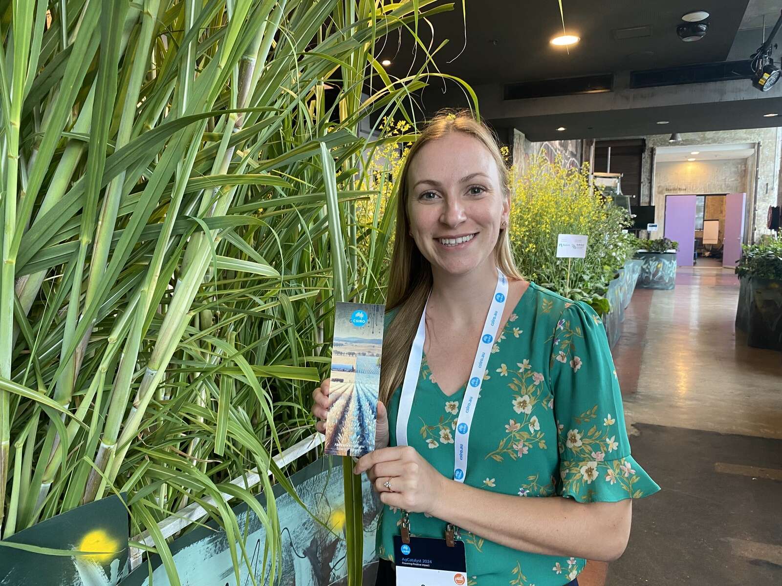 Byte by byte: how AI is reshaping agriculture