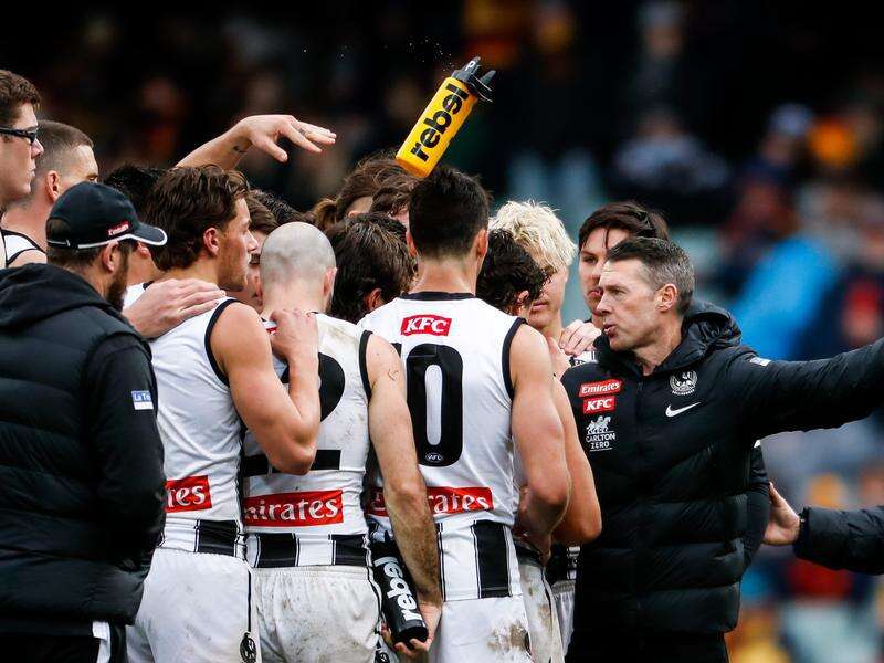 Magpies revel in thrill of the AFL chase Benalla Ensign