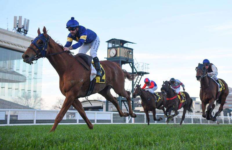 Payney's Punt Moonee Valley races preview Shepparton News