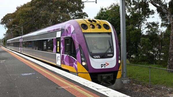 Many stops on the road to better public transport | Shepparton News