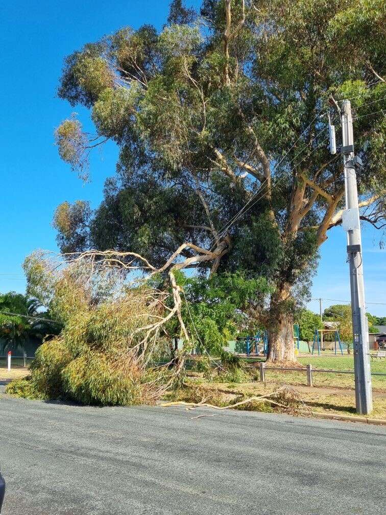 Tree branch falls on powerlines in Shepparton, road closed Seymour