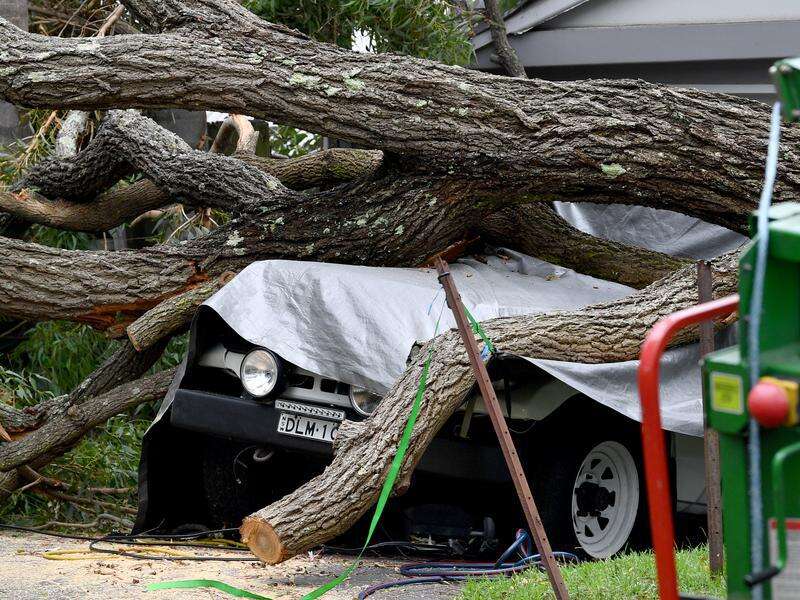 Wild storms lash parts of Sydney and the Central Coast | Country News