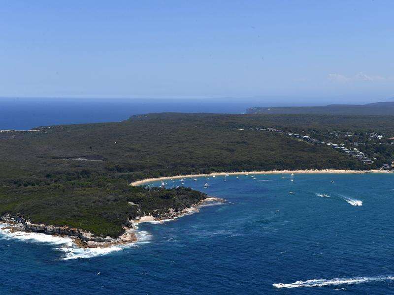 Human remains found in two burnt-out cars in Sydney - Vimarsana News
