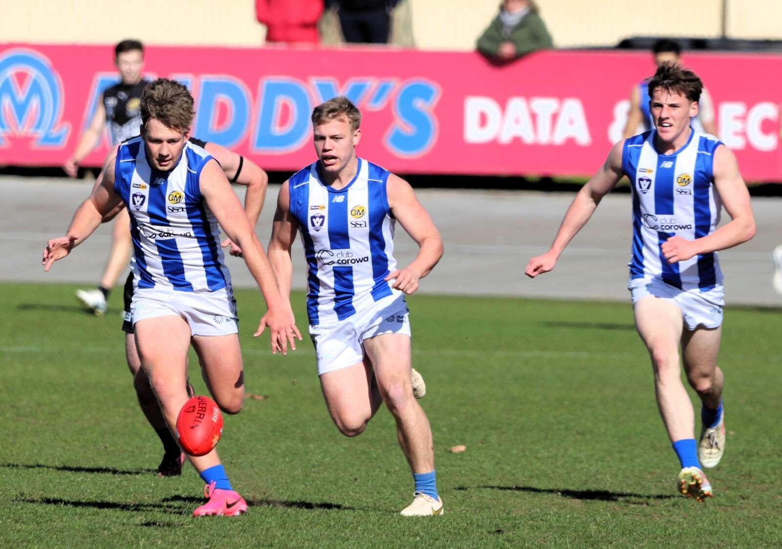 Magpies swoop on young Roos
