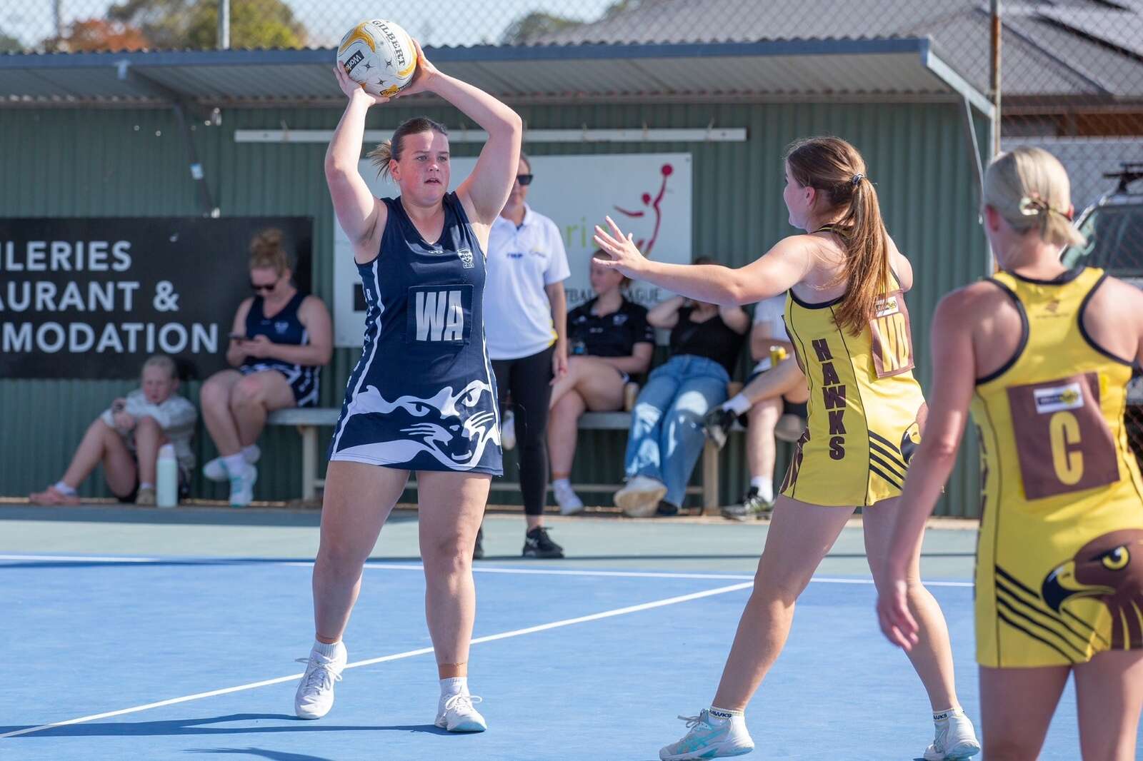 Rutherglen Netball | Shepparton News