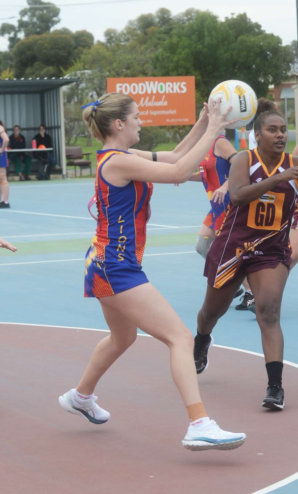 Mixed day for Lionesses Yarrawonga Chronicle