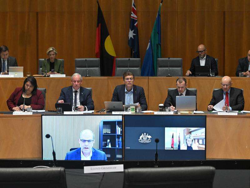 Political interference allegations by sect 'chilling'