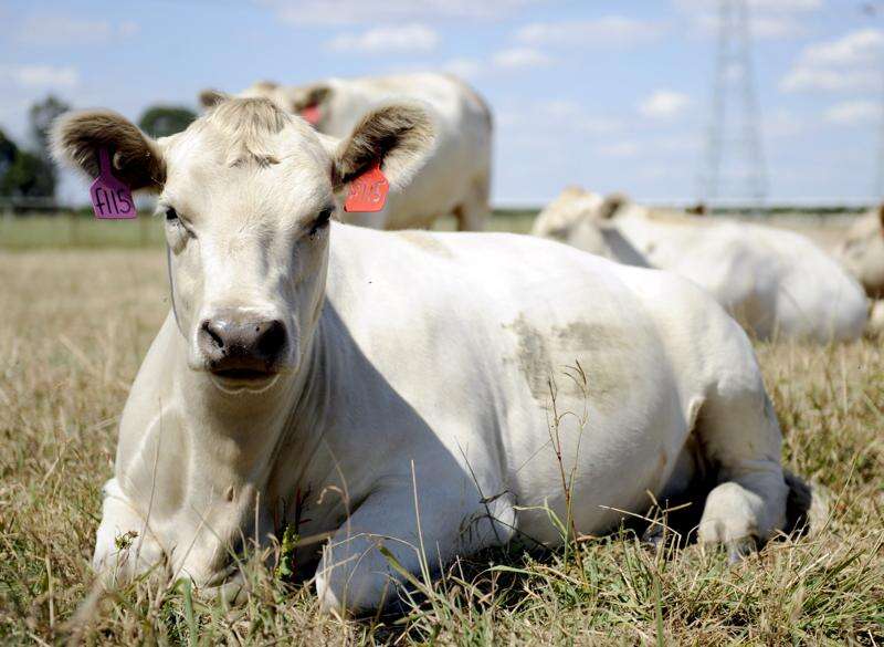 Major ag company records strong profit