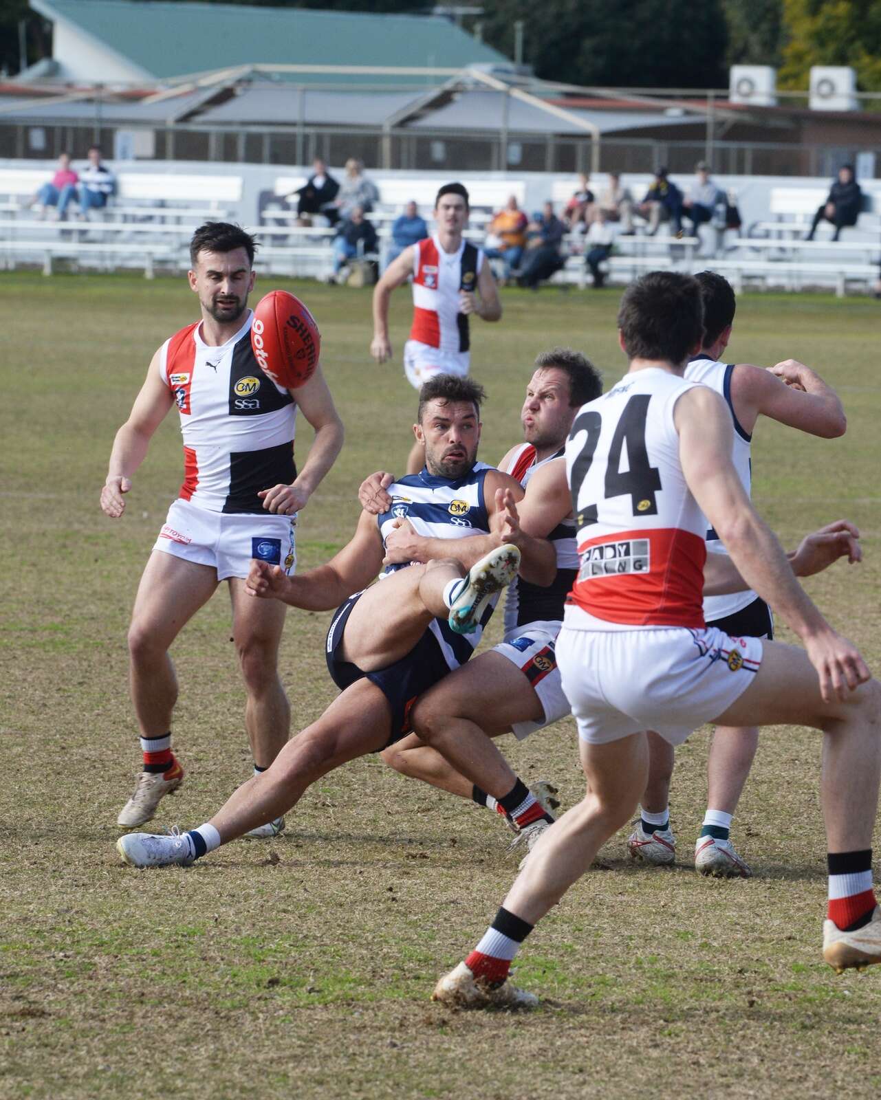 Pigeon’s power stuns Saints | Shepparton News