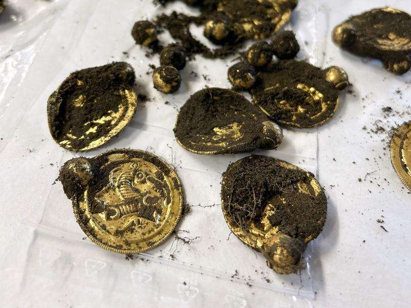 Norwegian finner skatter med metalldetektor