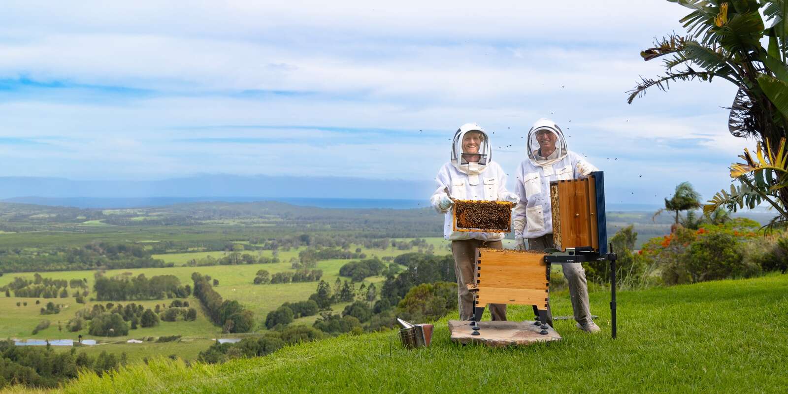 Beekeeping set to become effortless | Dairy News Australia