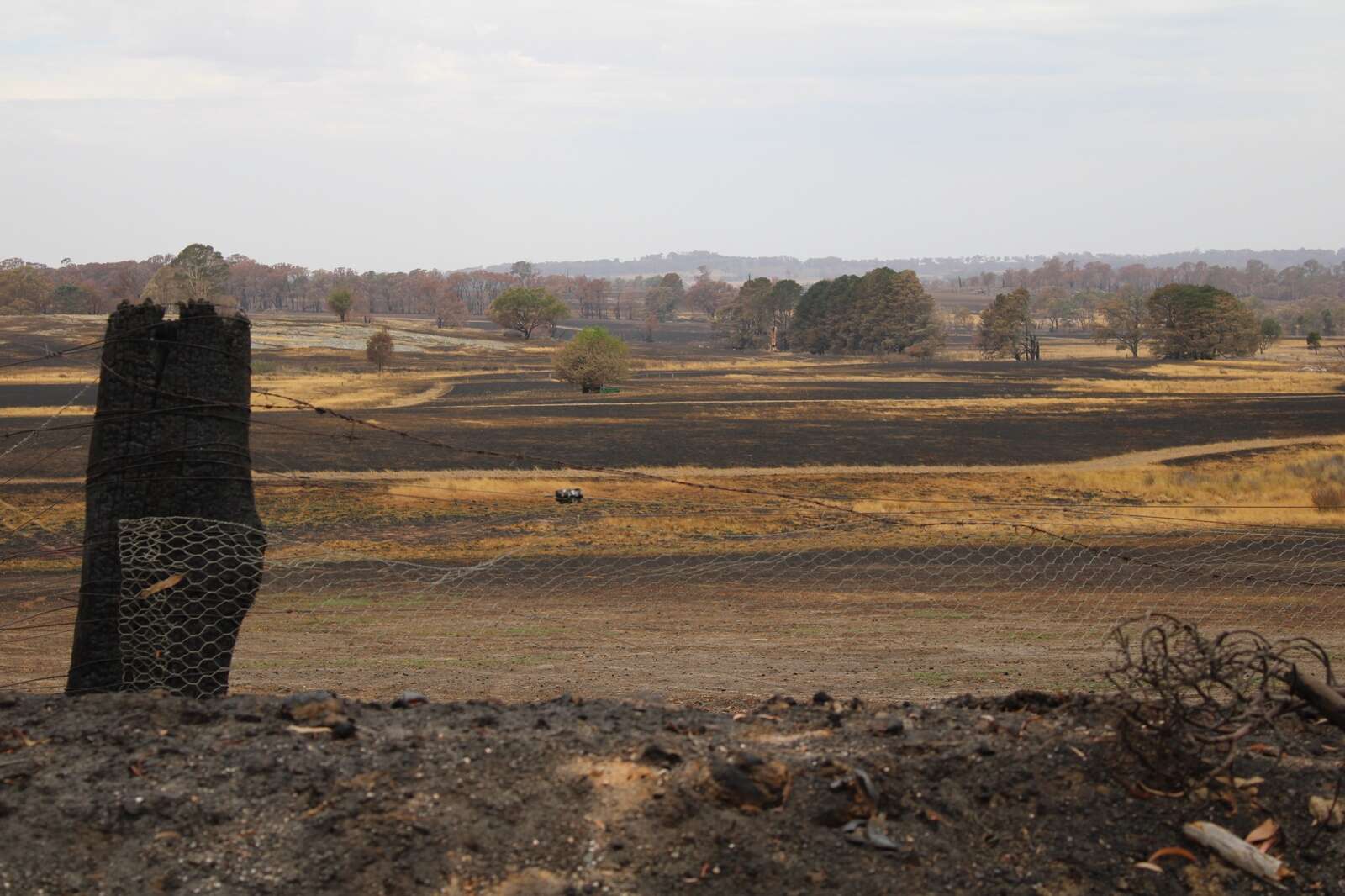 GBCMA offers support for waterway fire recovery | Country News