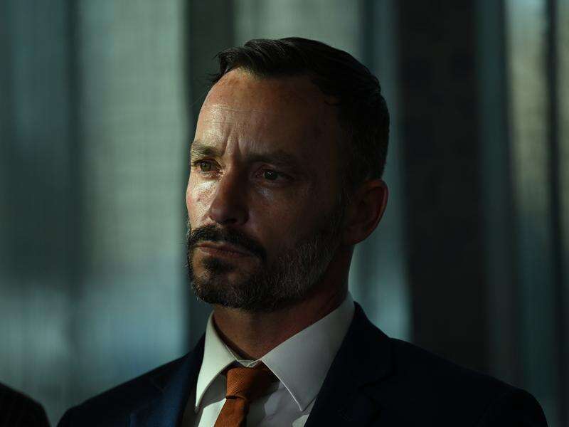 One Nation state leader admits drug use 'mistakes'