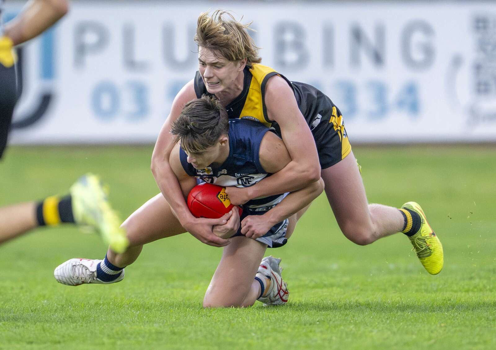 Gallery | Tigers fight off Cats | Campaspe News