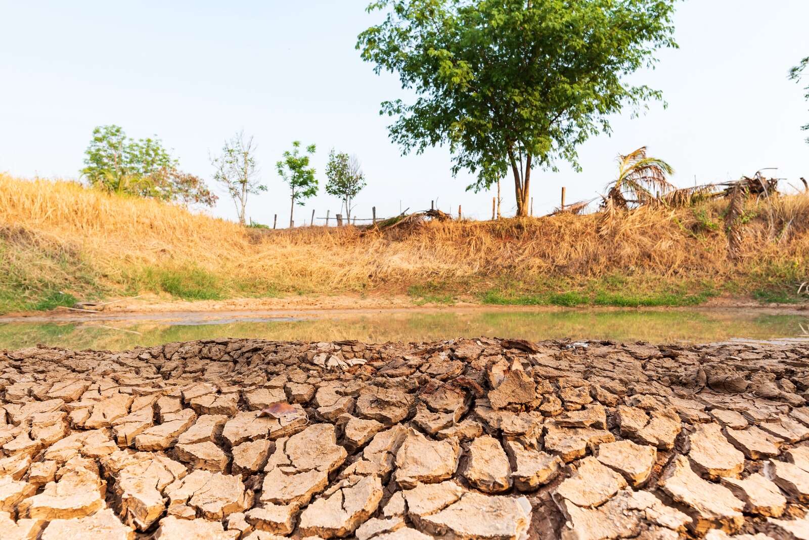 Seeking a conversation on climate change