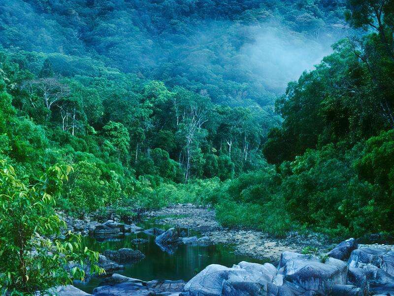 Cape York areas make World Heritage tentative list | Cobram Courier