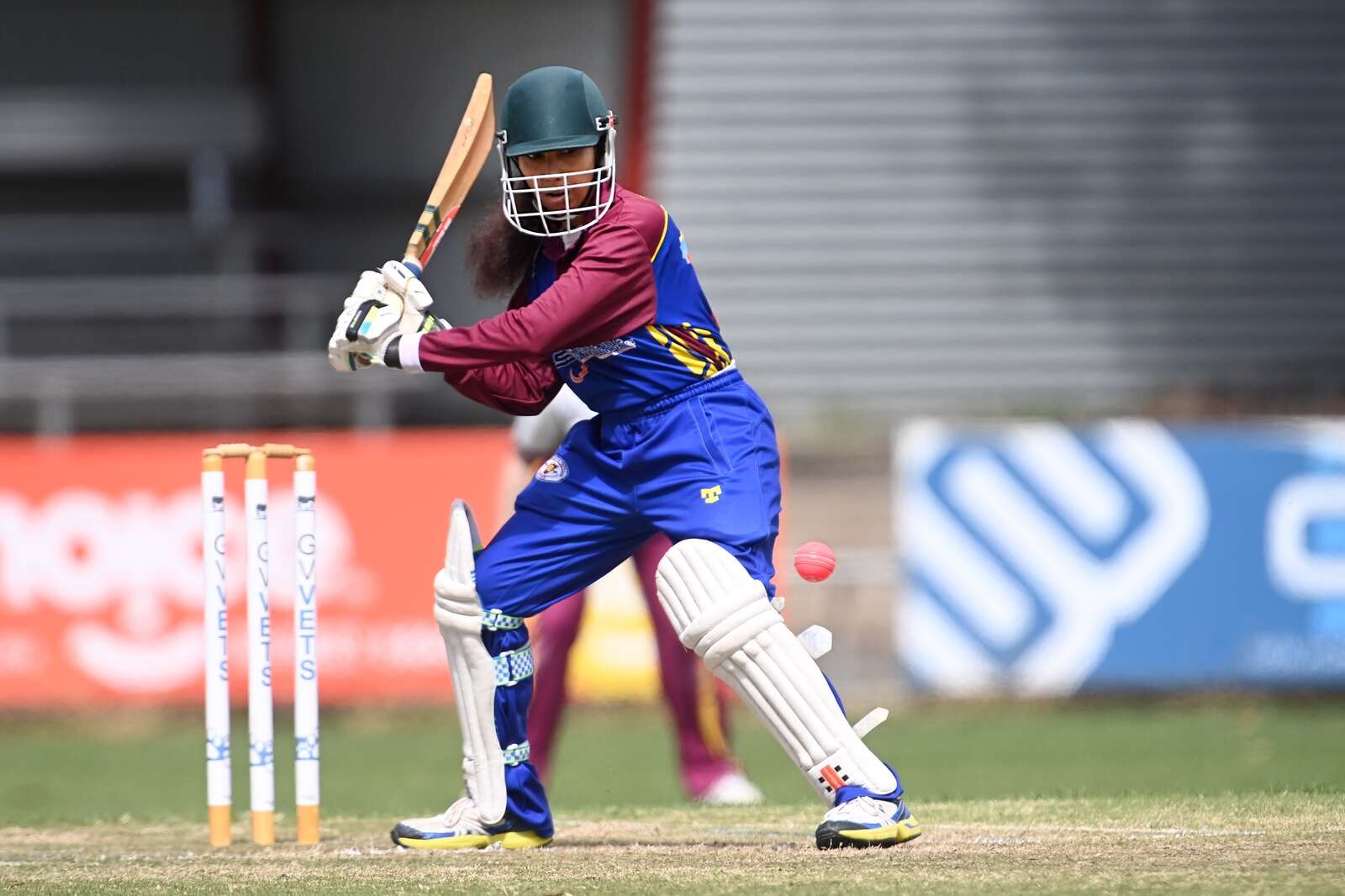 Gallery Shepp United women rolling in GMC cricket Shepparton News