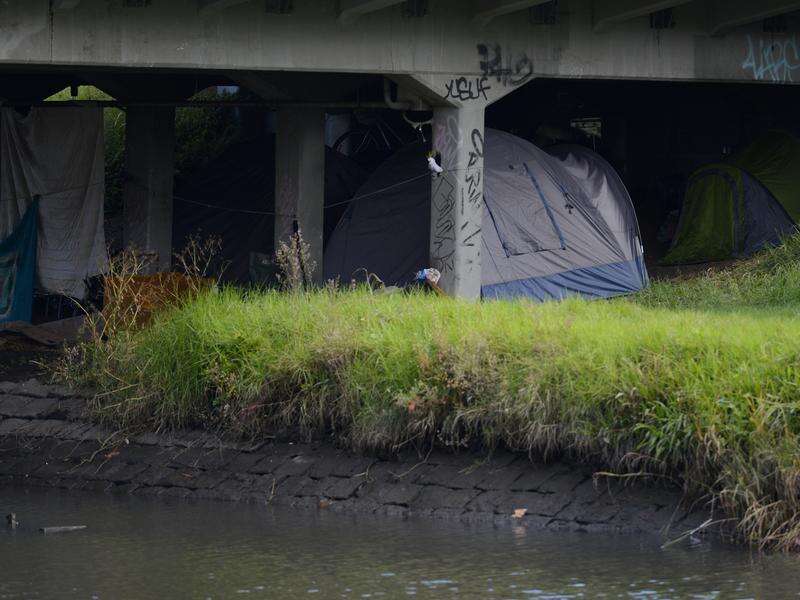 Tight rent market drives up regional Vic homeless rates Dairy News