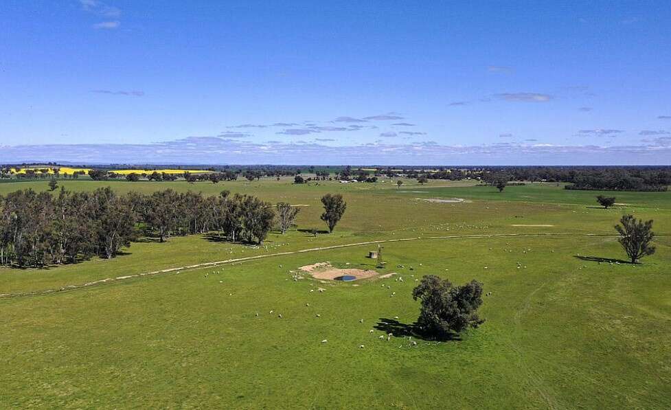 Grazing properties show strong prices despite tough season Country News