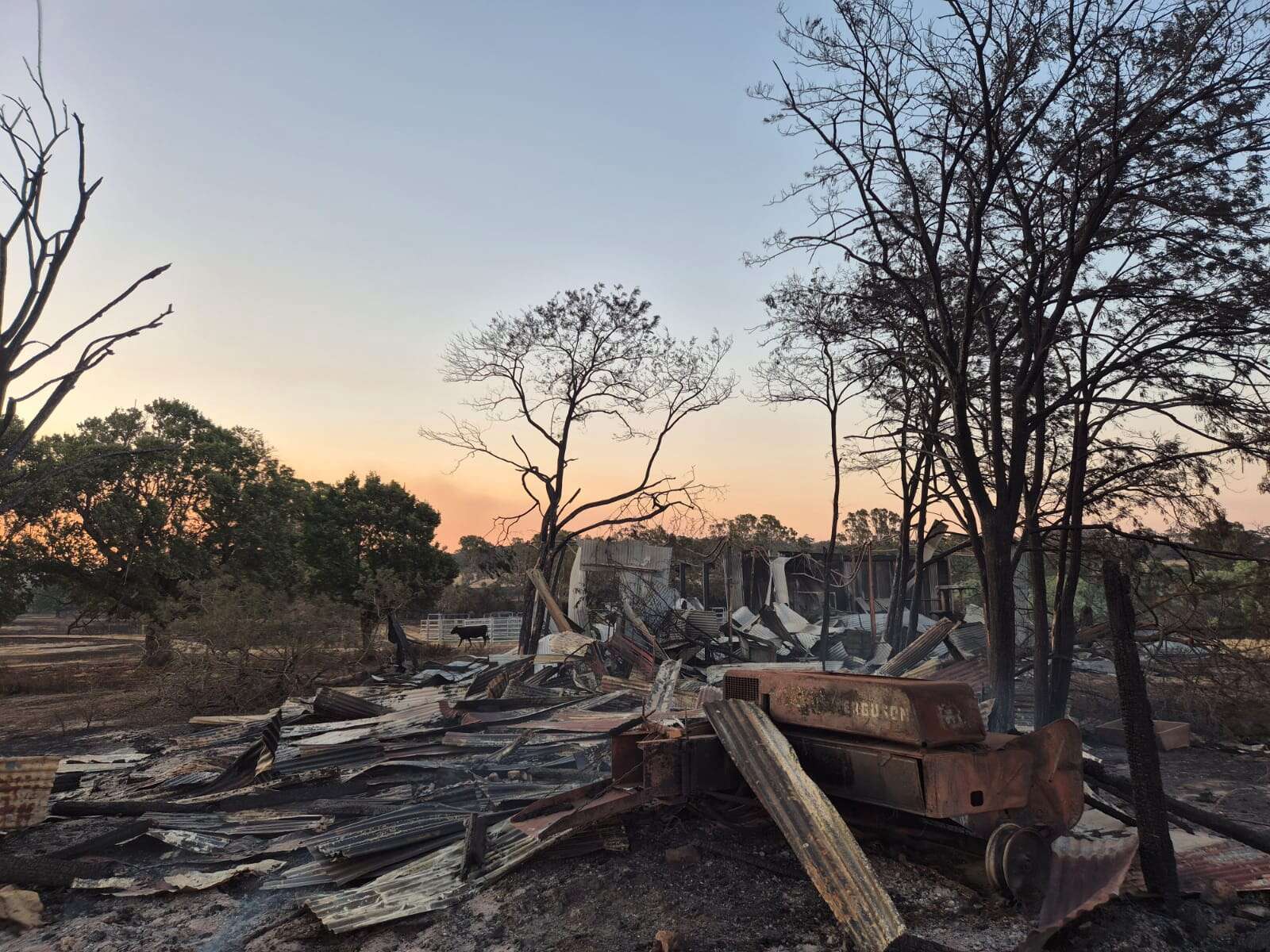Calls to extend bushfire waste levy exemption | Seymour Telegraph