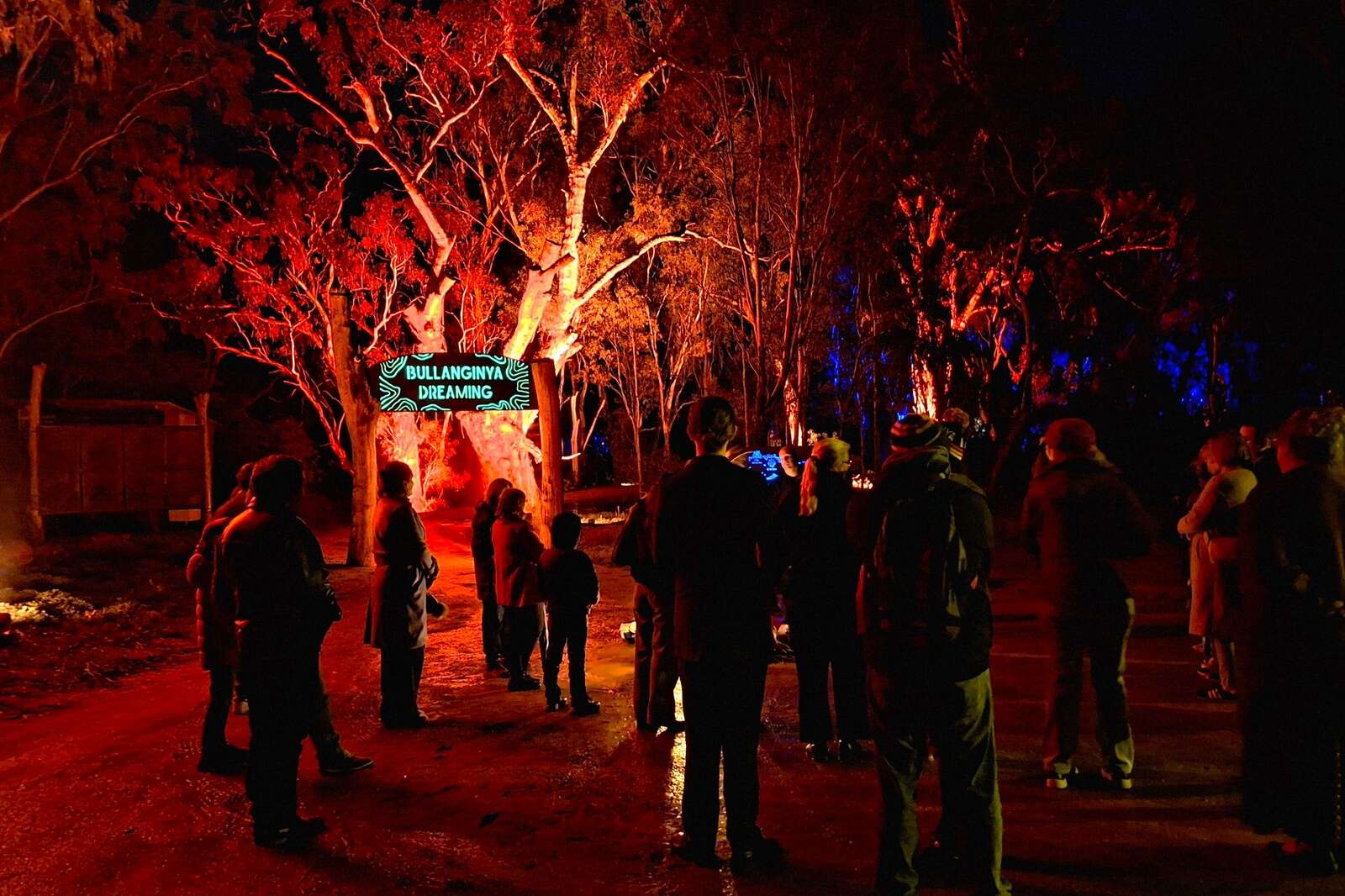 Experience the magic of Bullanginya's new holographic display