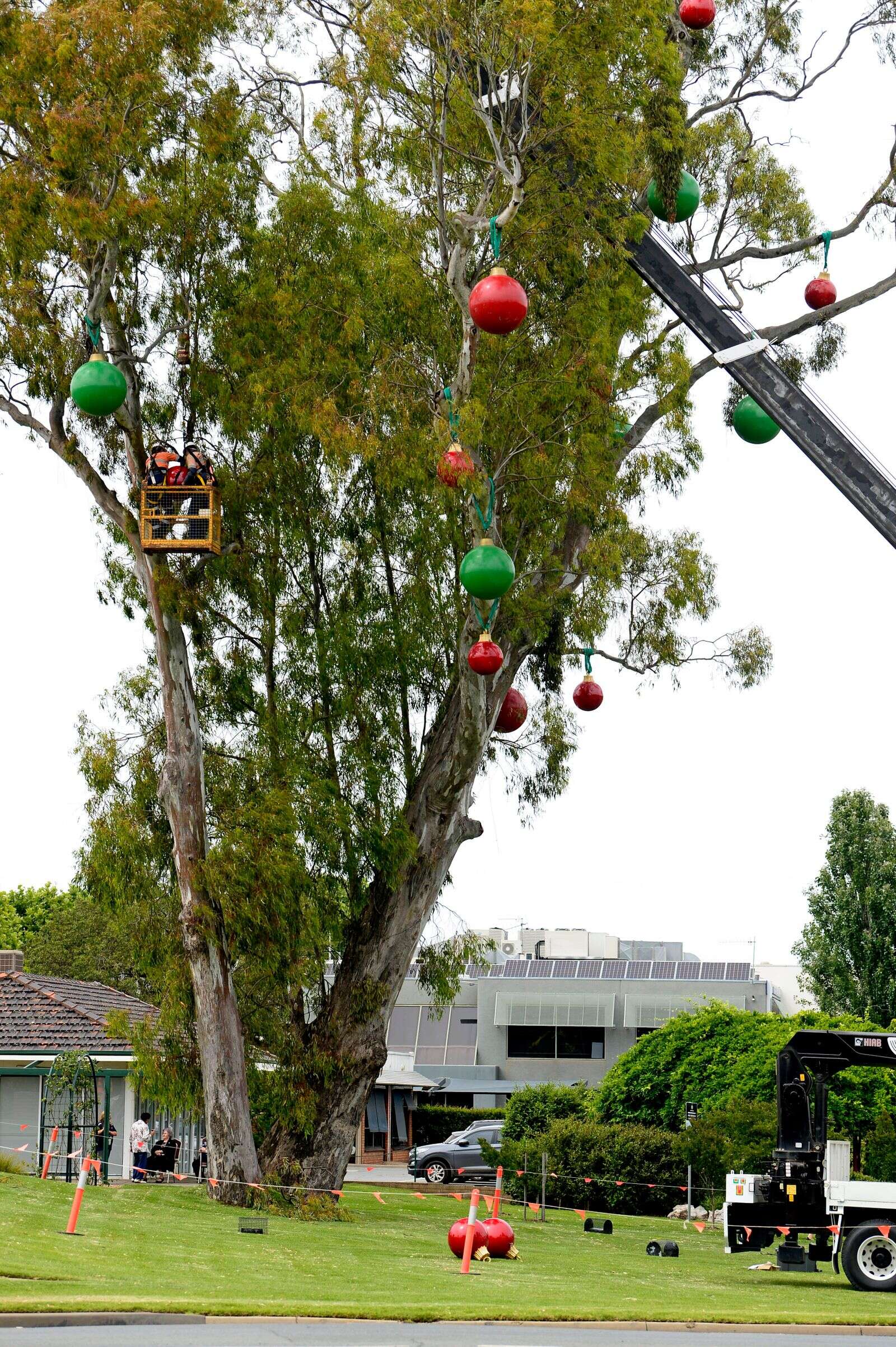 Deck the halls Christmas arrives in Shepparton Country News