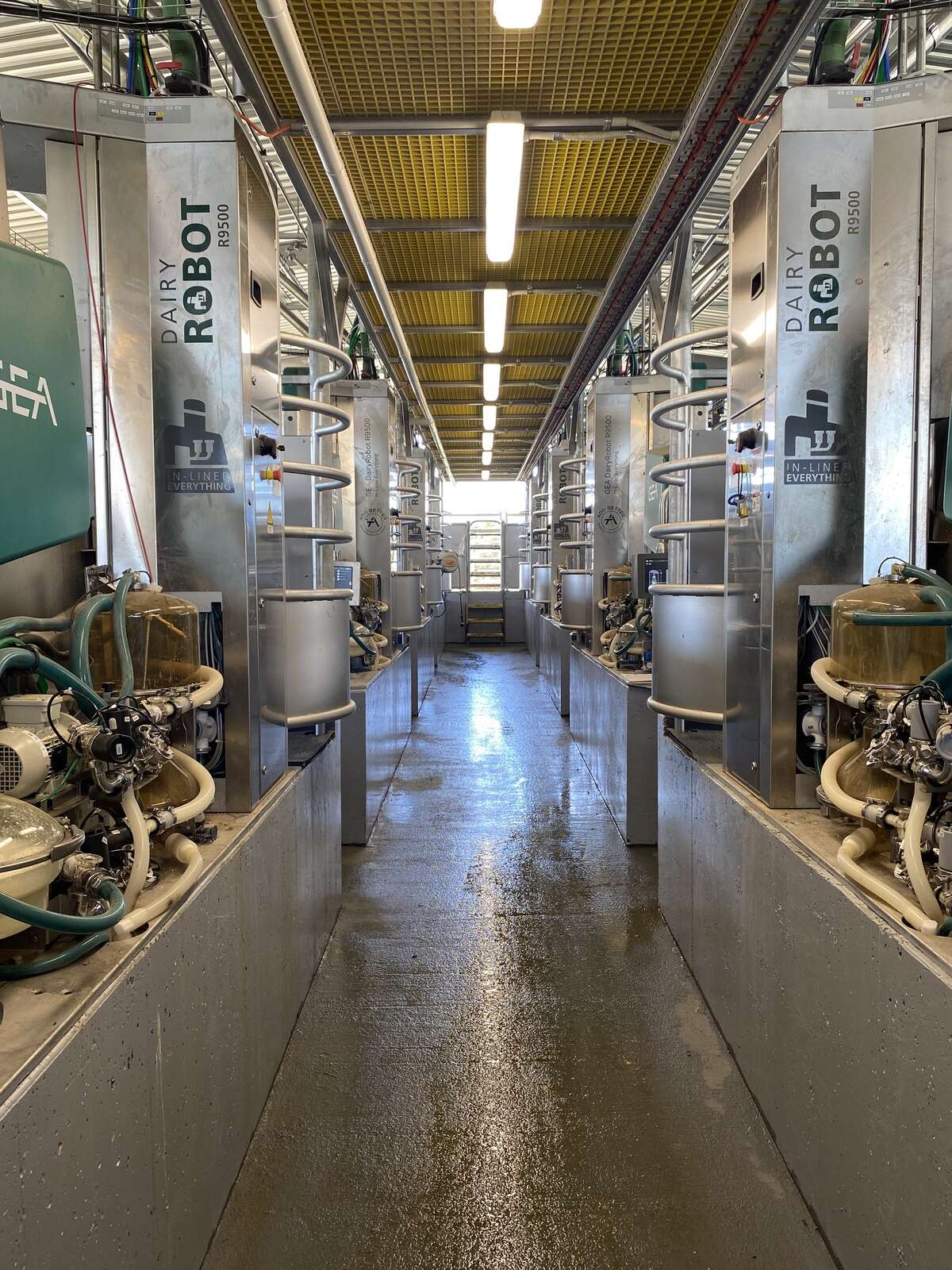 Robots transform dairy business