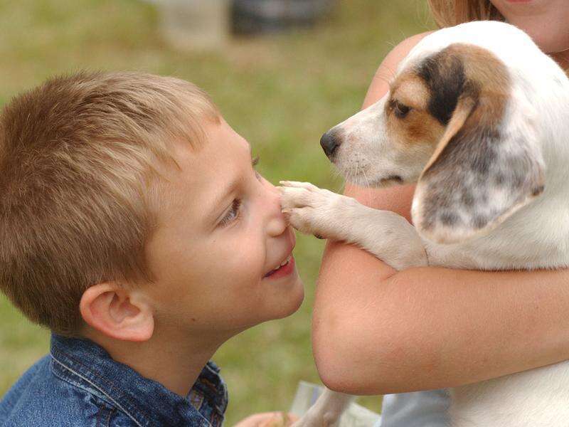 Dowody na odpowiedź immunologiczną dzieci na COVID