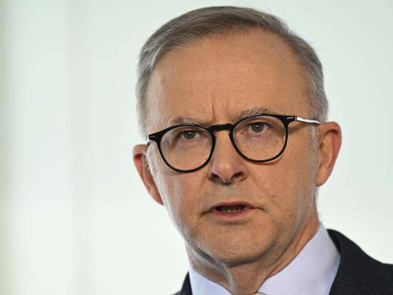 Albanese eyes truth in political ad laws Country News