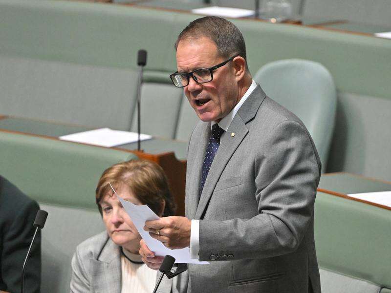 'Stronger test' for Albanese as Labor MP charged again