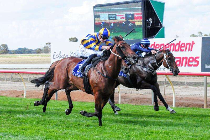 Echuca Racing Club says book now for the cup | Riverine Herald