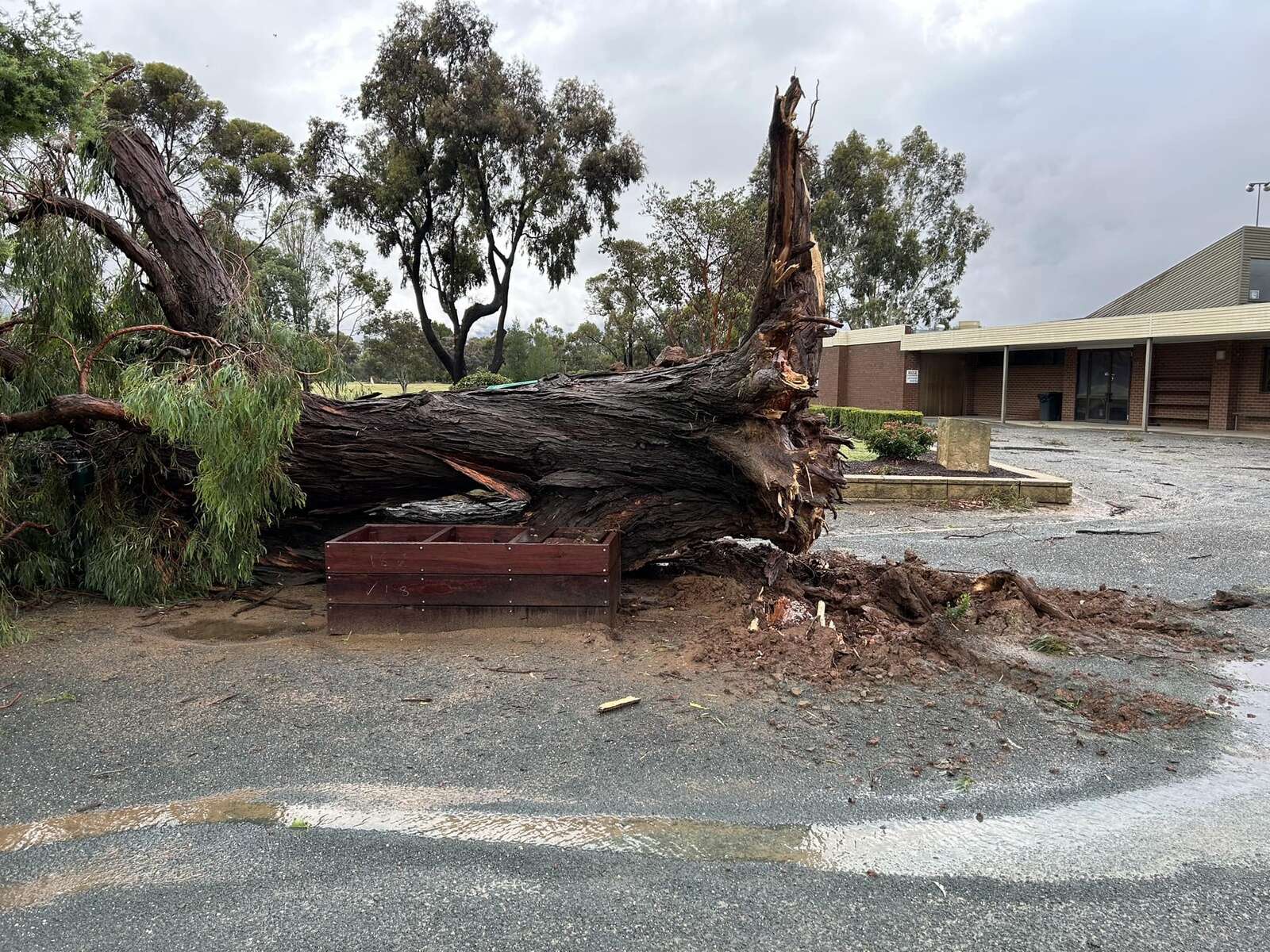 Wild storm lashes district | Shepparton News