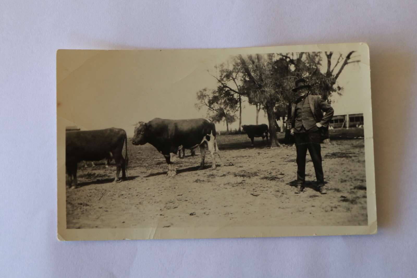 Generations of Fonterra farmers | Dairy News Australia