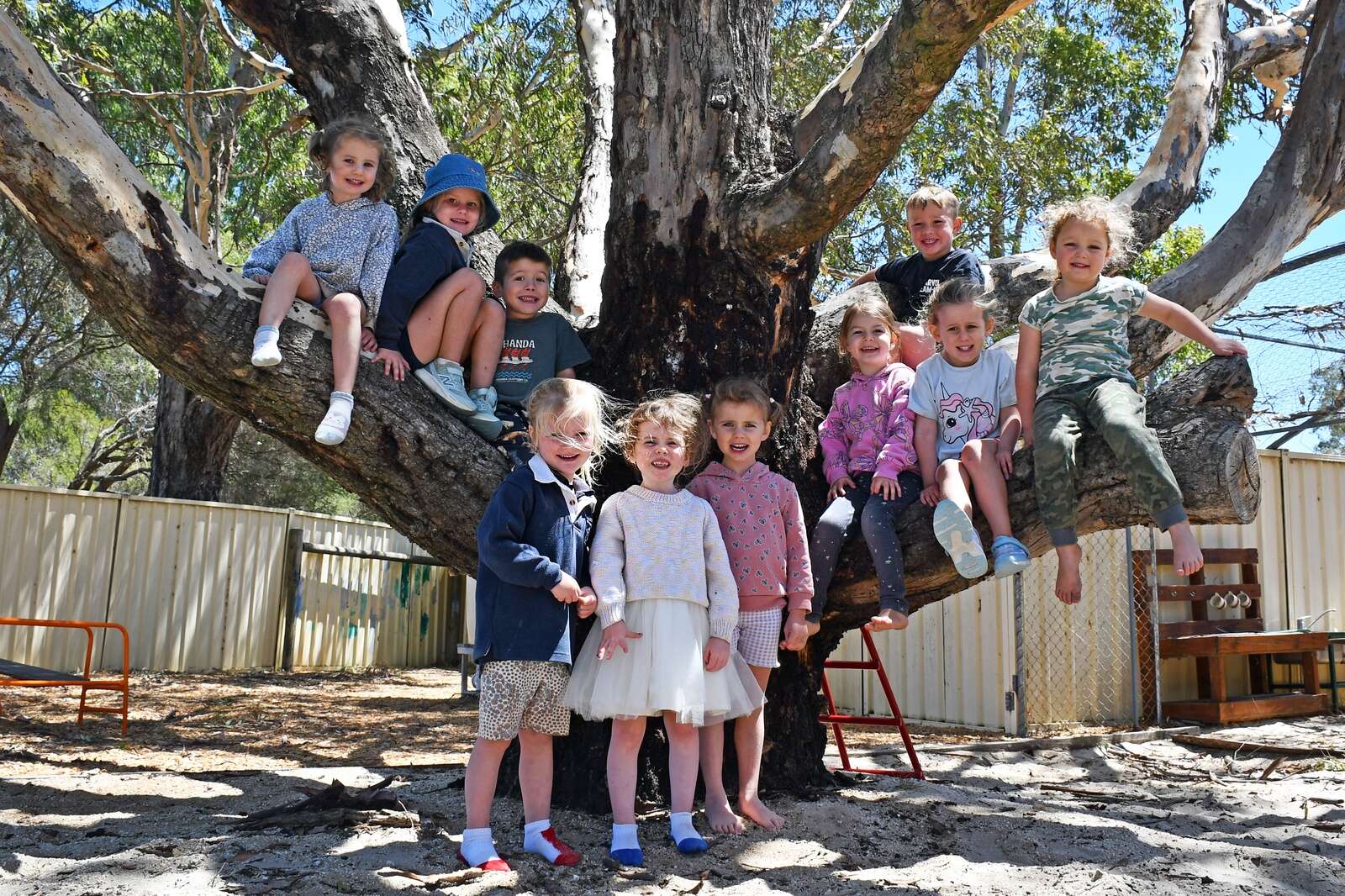 Preschoolers finding lessons in the scrub | Country News