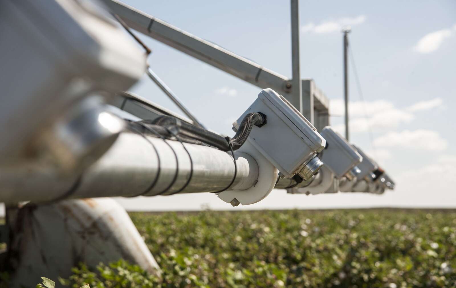 Decision time for the future of farming in Australia